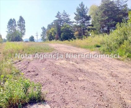 Działka inwestycyjna na sprzedaż Wałbrzych, Śródmieście 1 300m2 Foto 4