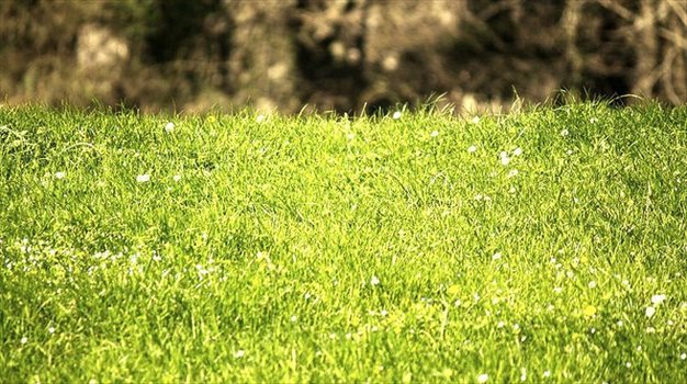 Działka budowlana na sprzedaż Białystok, Dojlidy Górne 1 000m2 Foto 1