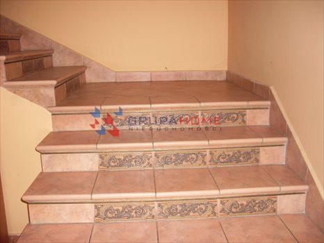 Dom na wynajem Józefosław 620m2 Foto 7