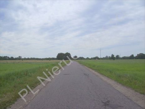 Działka rolna na sprzedaż Holendry Baranowskie 28 400m2 Foto 3