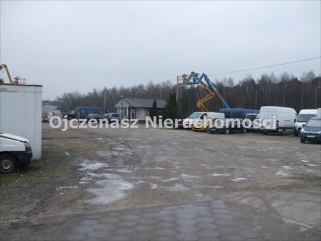 Lokal użytkowy na sprzedaż Brzoza 392m2 Foto 3