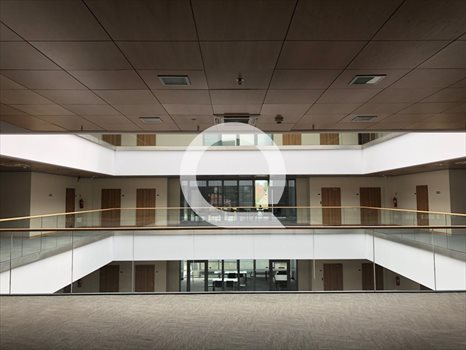 Lokal użytkowy na wynajem Gdańsk, Oliwa 500m2 Foto 5