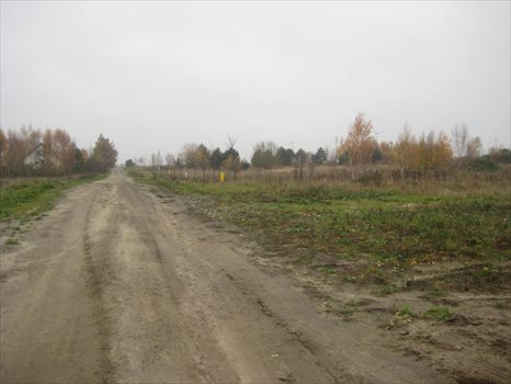 Działka budowlana na sprzedaż Kobylnica, Kalinowa 700m2 Foto 8