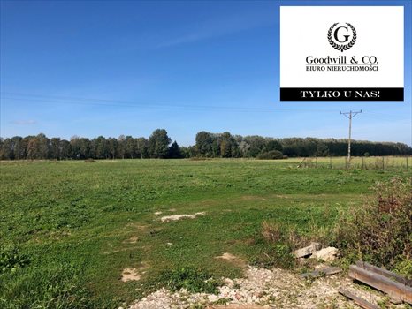 Działka przemysłowo-handlowa na sprzedaż Gdańsk, Świbno, Kempingowa 22 000m2 Foto 3