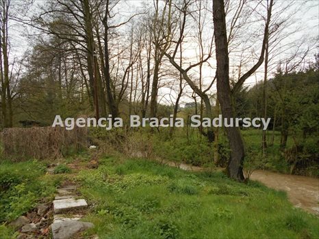 Działka rolna na sprzedaż Januszowice 2 800m2 Foto 2