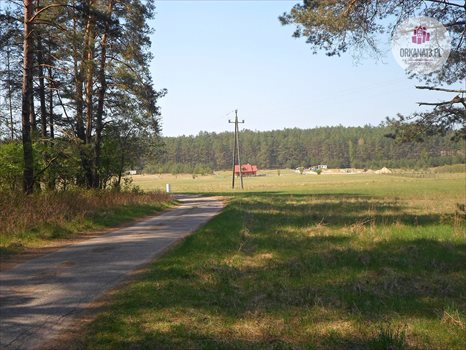 Działka rekreacyjna na sprzedaż Ząbie, Ząbie 2 981m2 Foto 7