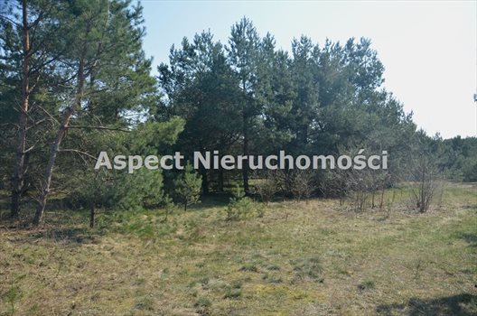 Działka inna na sprzedaż Wyszków, Kamieńczyk 1 000m2 Foto 1