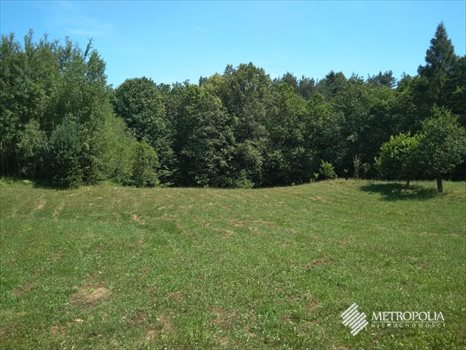 Działka budowlana na sprzedaż Osieczany 3 600m2 Foto 3