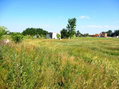 Działka budowlana na sprzedaż Dębowa Łęka, Dębowa Łęka 1 047m2 Foto 2