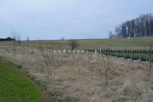 Działka budowlana na sprzedaż Mogilany 1 835m2 Foto 7