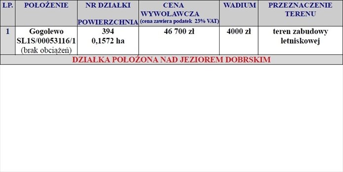 Działka rekreacyjna na sprzedaż Gogolewo 1 572m2 Foto 6