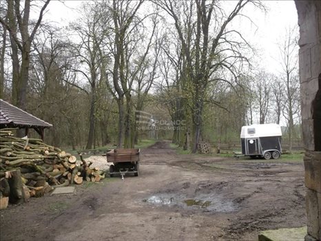 Lokal użytkowy na sprzedaż Leszno Dolne 1 200m2 Foto 8