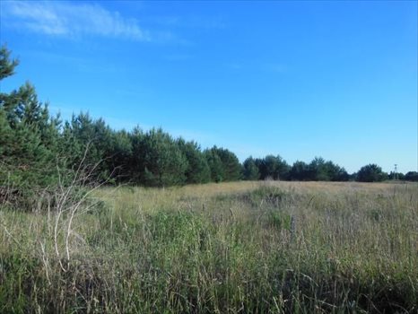 Działka budowlana na sprzedaż Gdańsk, Osowa, Myśliborska 563m2 Foto 3