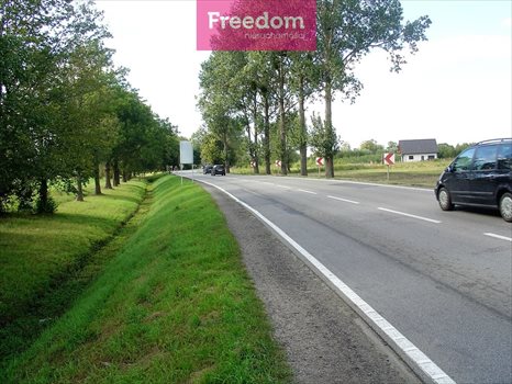 Działka budowlana na sprzedaż Cisy 1 216m2 Foto 3