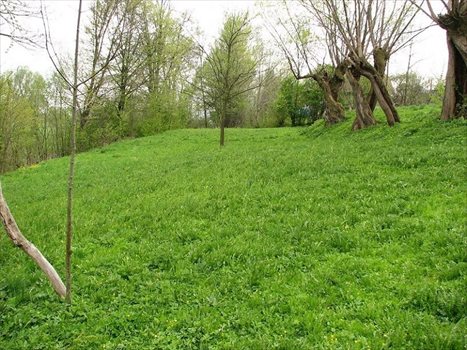 Działka budowlana na sprzedaż Bzianka, Bzianka 3 200m2 Foto 8
