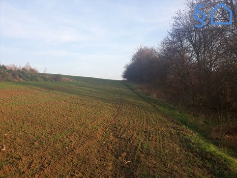 Działka budowlana na sprzedaż Sułkowice 900m2 Foto 6