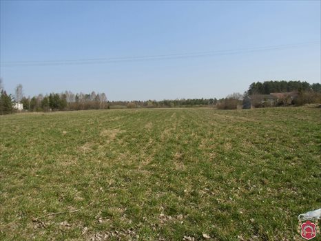 Działka komercyjna na sprzedaż Gdynia, Wiczlino, Wiczlińska 6 780m2 Foto 5