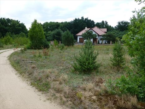 Działka inna na sprzedaż Kwakowo, Krótka 1 366m2 Foto 5