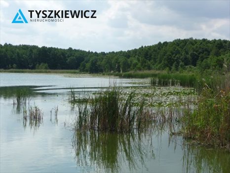 Działka rekreacyjna na sprzedaż Chojnice 18 900m2 Foto 7