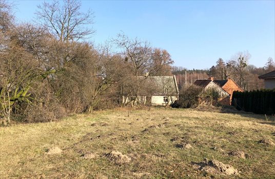 Dom na sprzedaż Gołuchów, Kopiczyńskiego 80m2 Foto 4