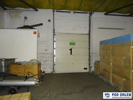 Lokal użytkowy na wynajem Bielsko-Biała, Centrum 489m2 Foto 6