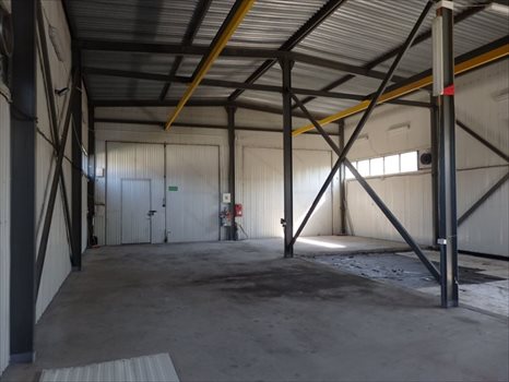 Lokal użytkowy na wynajem Reguły 600m2 Foto 5