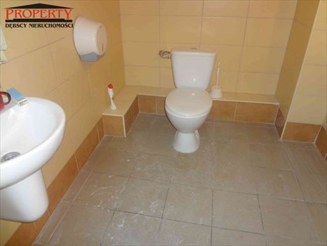 Lokal użytkowy na wynajem Łódź, Śródmieście, ok. Piotrkowskiej/Mickiewicza 257m2 Foto 6