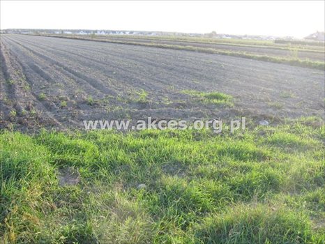 Działka budowlana na sprzedaż Nowa Wola 1 000m2 Foto 4