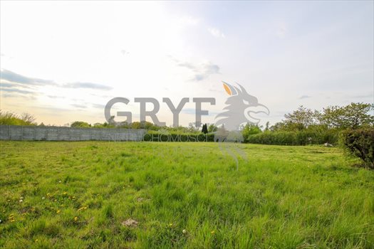 Działka budowlana na sprzedaż Siemianice, Siemianice 4 300m2 Foto 6