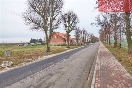 Działka budowlana na sprzedaż Krzyszkowo 952m2 Foto 5