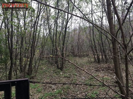 Działka inwestycyjna na sprzedaż Łódź, Górna, Kolumny 3 000m2 Foto 11