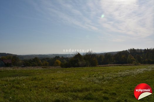 Działka budowlana na sprzedaż Grajów 3 700m2 Foto 11
