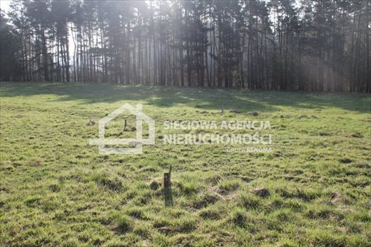 Działka budowlana na sprzedaż Lubowidz 1 760m2 Foto 1