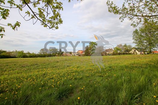 Działka budowlana na sprzedaż Siemianice, Siemianice 4 300m2 Foto 5