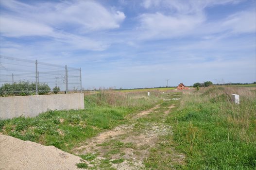 Działka budowlana na sprzedaż Rogów Sobócki, Radosna 1 178m2 Foto 4