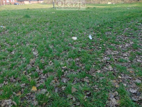 Działka budowlana na sprzedaż Mysłowice, Morgi 745m2 Foto 5