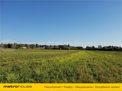 Działka inna na sprzedaż Łódź, Bałuty 1 033m2 Foto 5