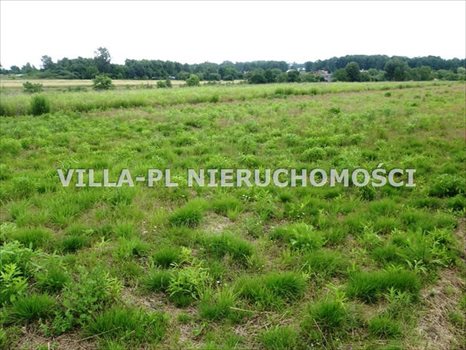 Działka budowlana na sprzedaż Dąbrówka Wielka 1 000m2 Foto 2