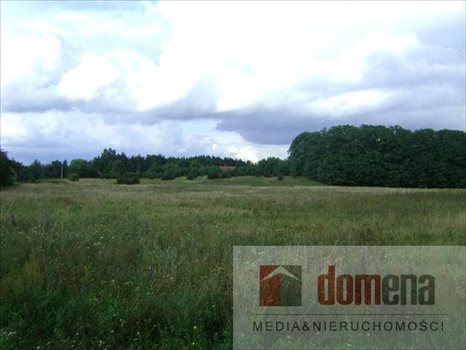 Działka budowlana na sprzedaż Kolonia Kęszyca 1 000m2 Foto 3