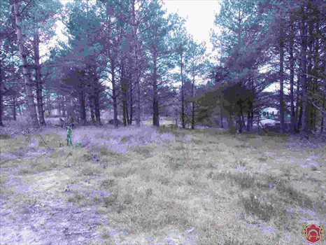 Działka budowlana na sprzedaż Kamień, Piaskowa 1 008m2 Foto 1