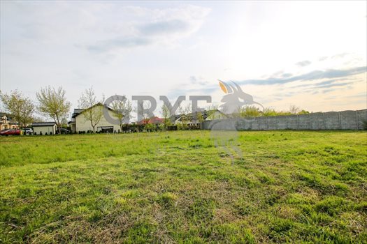 Działka budowlana na sprzedaż Siemianice, Siemianice 4 300m2 Foto 7