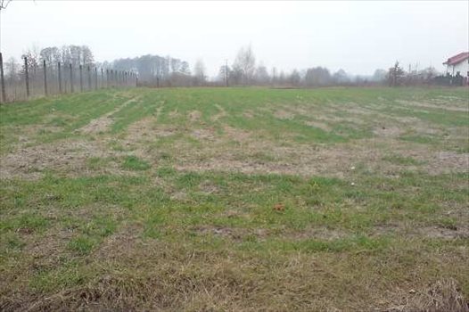 Działka inna pod dzierżawę Warszawa, Wawer, Miedzeszyn 5 564m2 Foto 1
