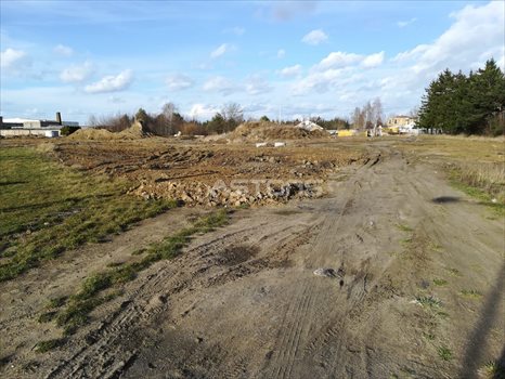 Działka inwestycyjna na sprzedaż Poznań, Rataje, Bolesława Krzywoustego 13 000m2 Foto 13