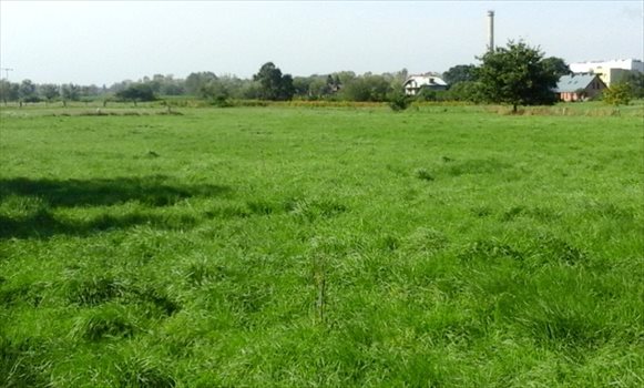 Działka budowlana na sprzedaż Kraków, Podgórze, ul.Strażacka 4 340m2 Foto 3