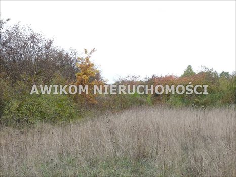 Działka budowlana na sprzedaż Skierniewice 2 750m2 Foto 1