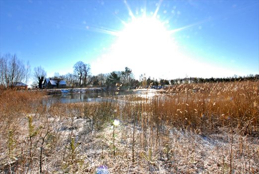 Działka inwestycyjna na sprzedaż Żabiczyn 16 027m2 Foto 3