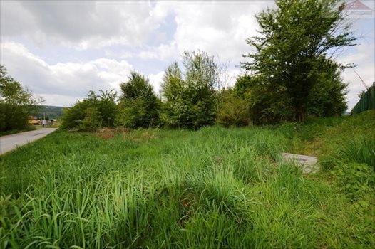 Działka budowlana na sprzedaż Ostrów 3 800m2 Foto 13