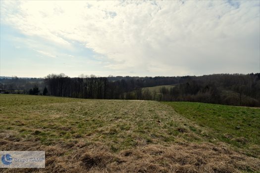 Działka inna na sprzedaż Barwałd Górny 8 066m2 Foto 3