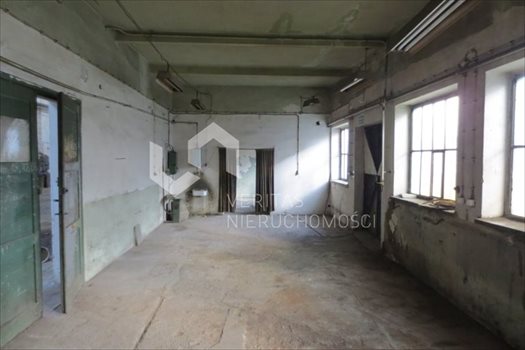 Lokal użytkowy na sprzedaż Gliwice 1 460m2 Foto 4