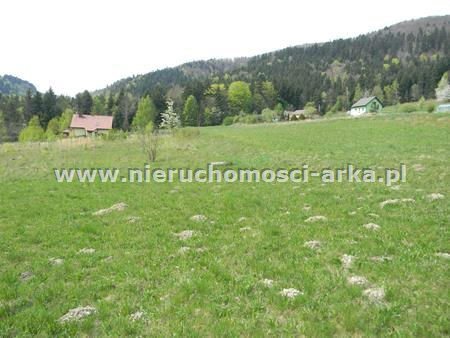 Działka budowlana na sprzedaż Pisarzowa 2 100m2 Foto 4